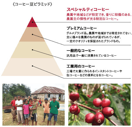 コーヒー豆ピラミッドの頂点にいるスペシャルティコーヒー。農園や地域などが特定でき、香りに特徴のある、農園主の個性が光る特別なコーヒー。