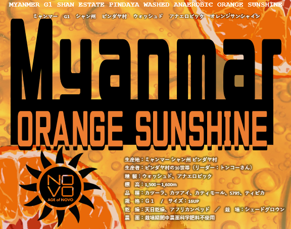AGE of NOVO シリーズ第八弾「ORANGE SUNSHINE」 | 魅せる焙煎機 NOVO